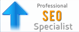 Professional SEO is a must for your website.